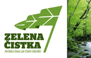 Zelena cistka